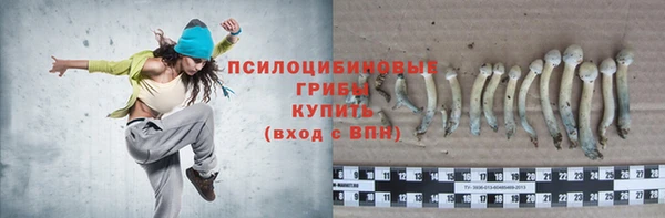 ECSTASY Алексин