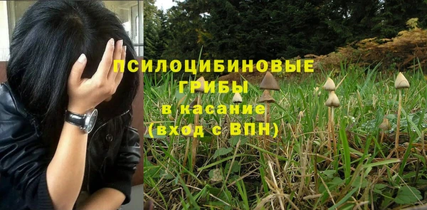 гидра Алзамай
