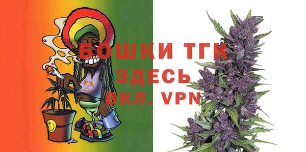 тгк Дмитровск