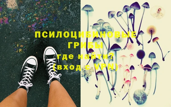 ECSTASY Алексин