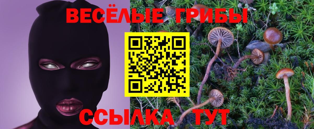 Галлюциногенные грибы мухоморы  Псилоцибиновые грибы Cubensis  Вход с VPN  Чусовой 